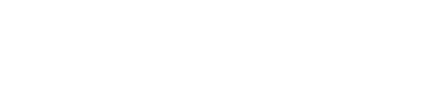 logo-palmapol-light-BDUGkTno